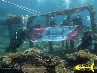 诺蒂卡特雷维索
